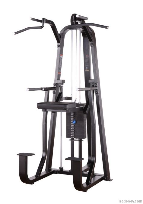 Precor Sport Machine / Dip & Chin Assist