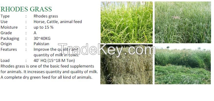 Wheat Hay Straw, Rhodes Grass, Alfalah Hay, Corn Silage