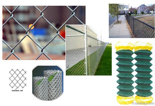 Welded wire mesh