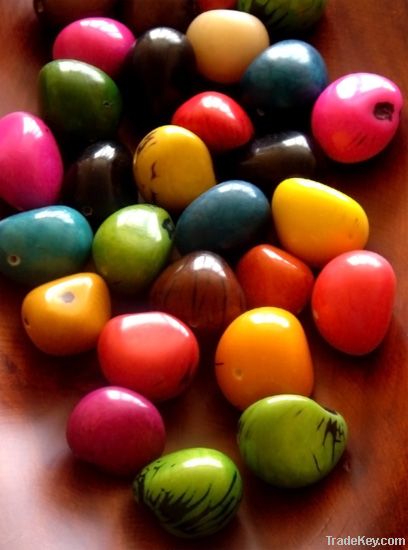 Tagua Seeds