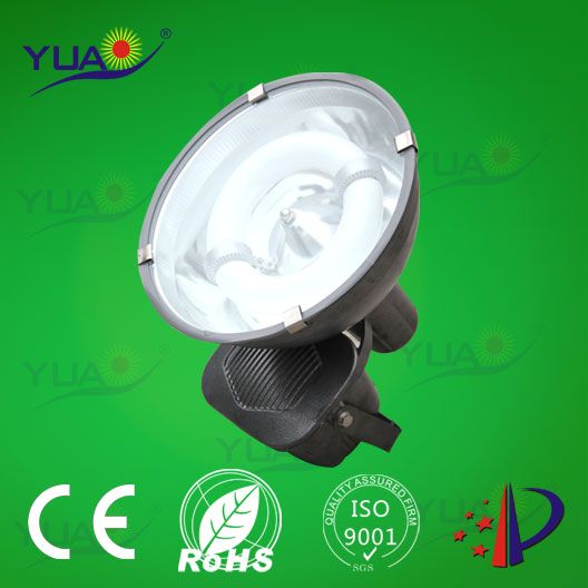 Energy Saving Waterproof IP65 Induction Flood Light