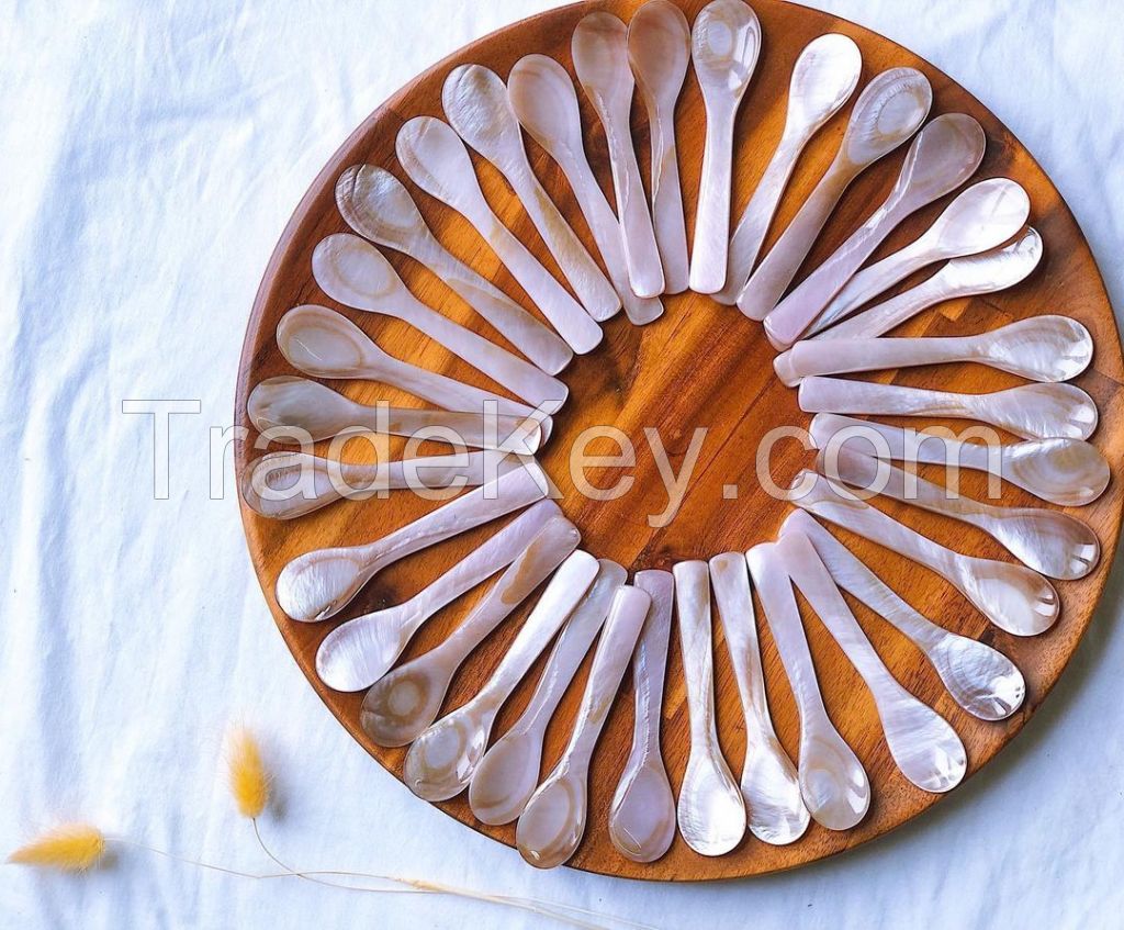 Seashell spoon Shell Spoon Mother of Pearl Natural Caviar Spoon Natural Small Spoon