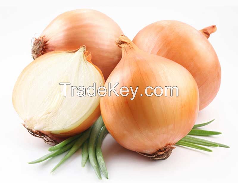 Fresh Onions Red White High Quality Onions