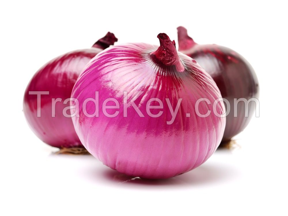 Fresh Onions Red White High Quality Onions