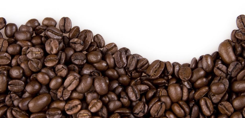 Coffee Beans, Fresh And Dried Coffee Seeds Arabica Robusta Beans