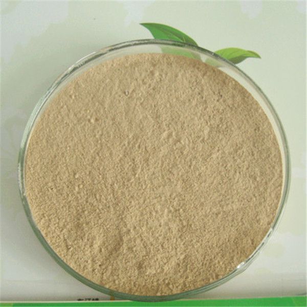 Bacillus subtilis for feed additives