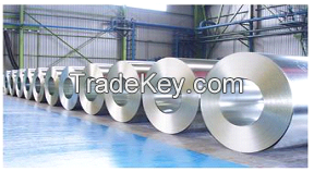 Sell Cold Rolled Galvanized Steel Coil(GI)