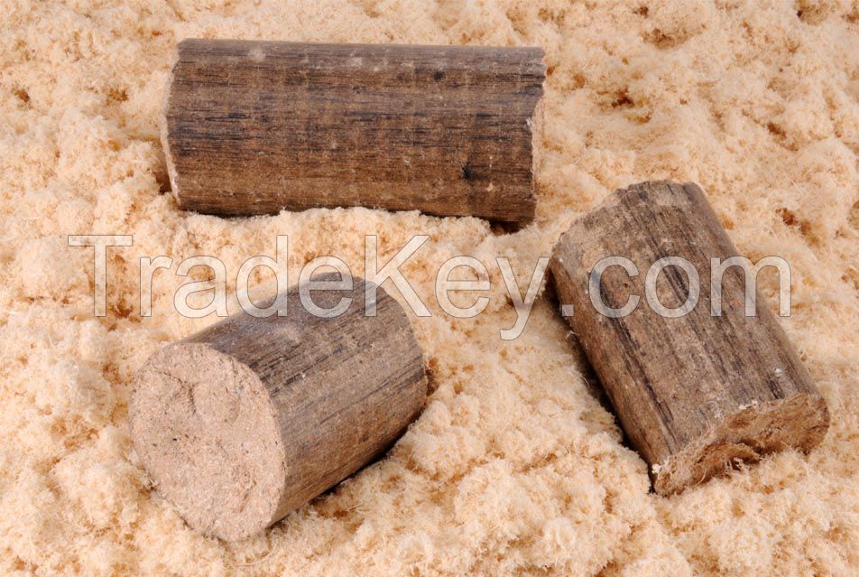 Sphinx Wood Briquettes