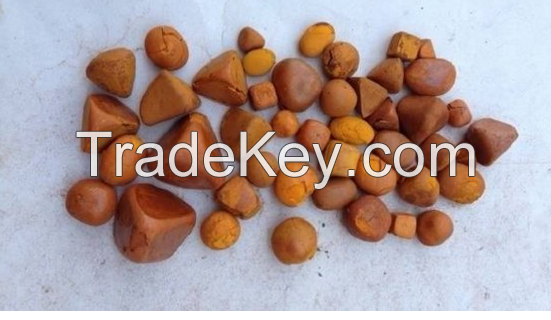 Quality Dried Cow Ox Gallstones