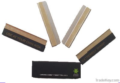 Stainless Razor Blades FSTB01