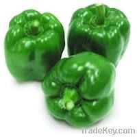 LittleFarmFreshIndia-Capsicum