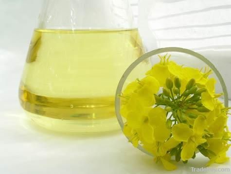 Refined canola oil