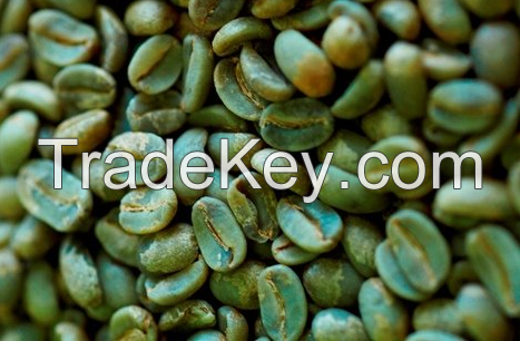 YEMENI GREEN COFFEE BEAN