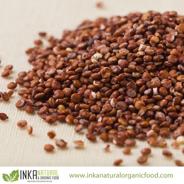 Conventional RED QUINOA Grain from PERU Andes