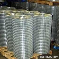 Galvanized Welded Wire Mesh