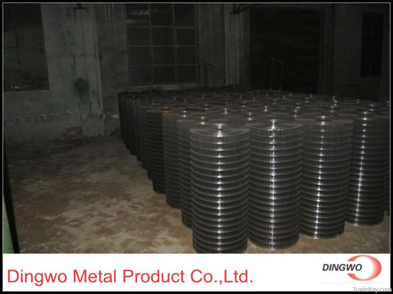 Welded Wire Mesh