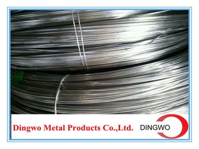 Electro Galvanized Wire(high quality low price manufactory^_^)