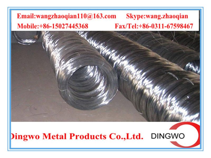 electro galvanized wire/hot dip galvanized wire