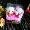 Couple Doll Cake Towel Gift