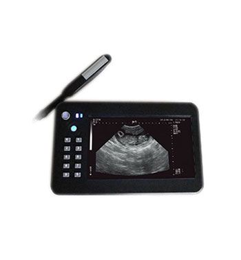 Veterinary Ultrasound Scanner