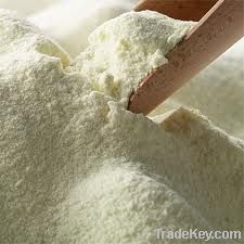 Skimmed Milk Powder