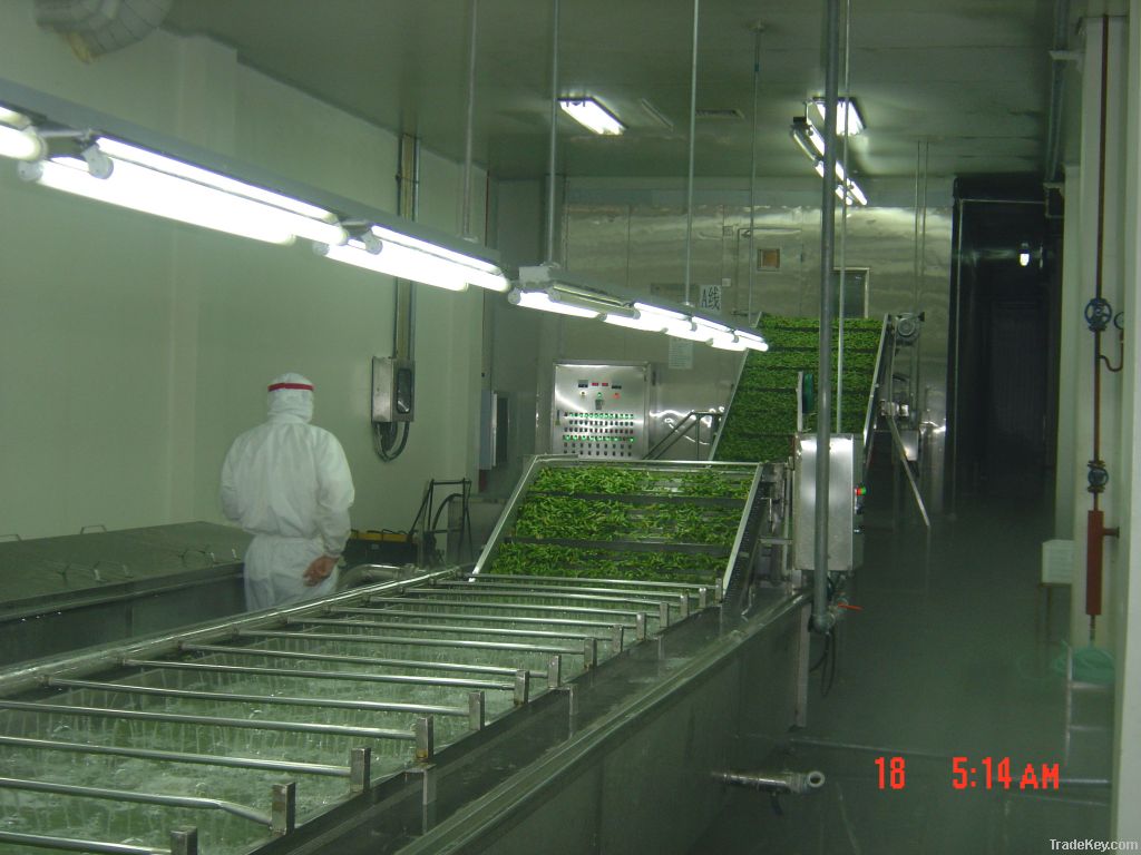 Soybean Processig  Machinery