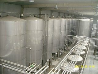 Fruit & Vegetable Processing Machines