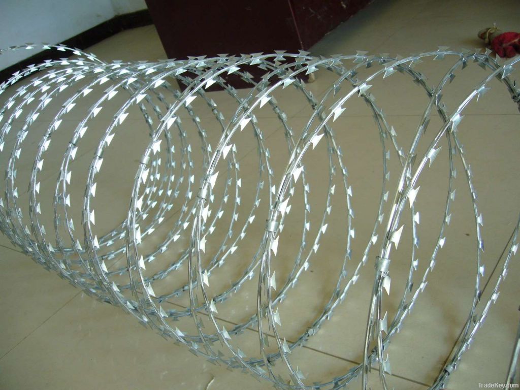 Concertina Razor Wire Verified by TUV Rheinland