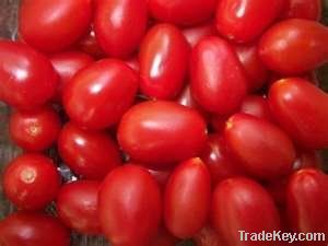 Fresh Farm Tomatoes