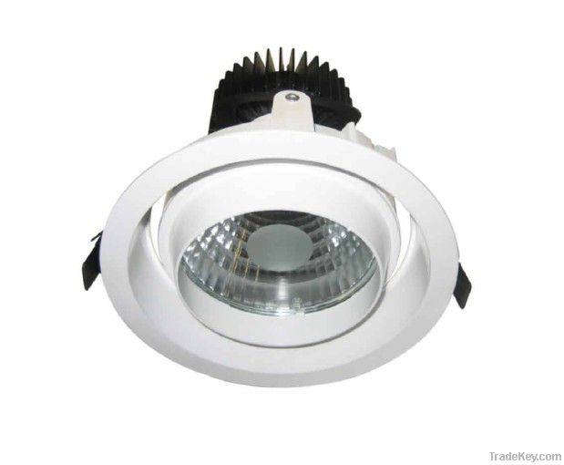 LED module Recessed Downlight