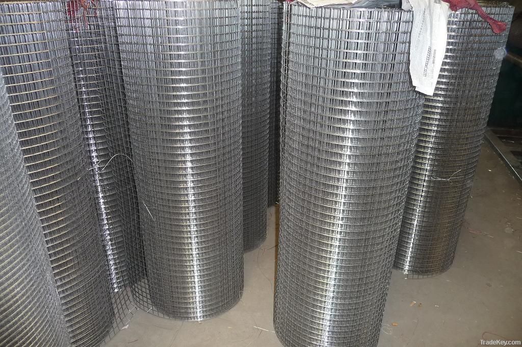 Galvanized Welded Wire Mesh