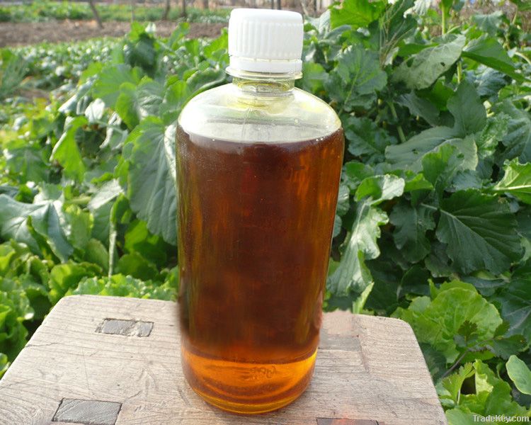 Crude Rapeseed Oil