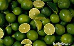 Fresh Lime &amp; Lemon