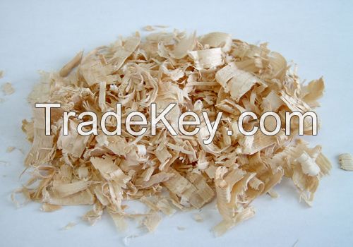 Wood Shavings