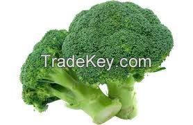 Premium Egyptian Fresh Broccoli