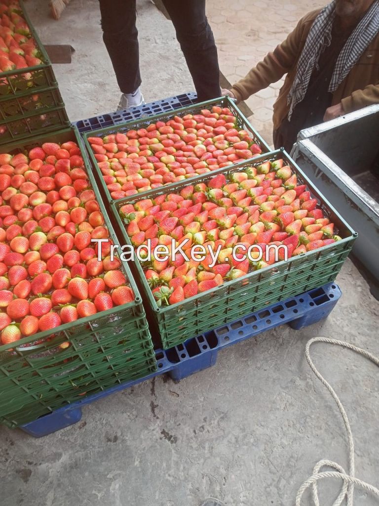 Fresh Strawberries (without)