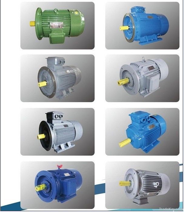 AC Electrical Induction Motors