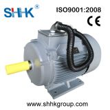 Ie2 High Efficiency Induction AC Motor (YX3)