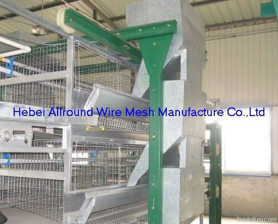 Poultry automatic equipment