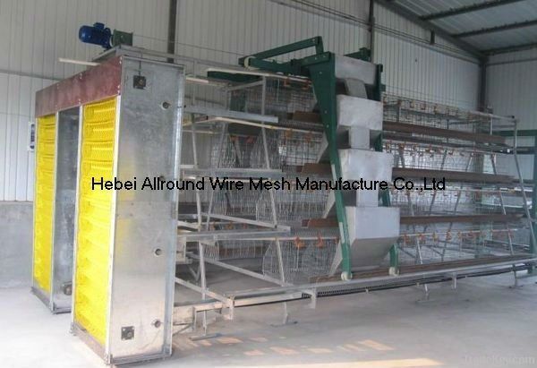 Poultry automatic equipment