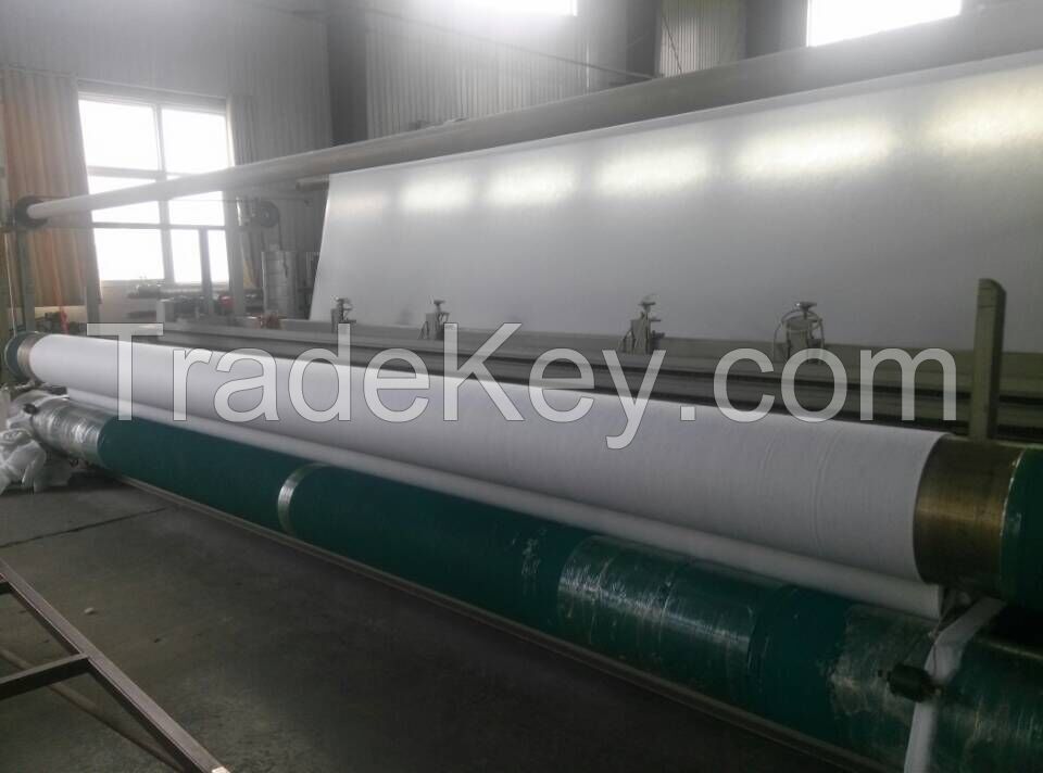 Polyester/Polypropylene needle punched Nonwoven Geotextile