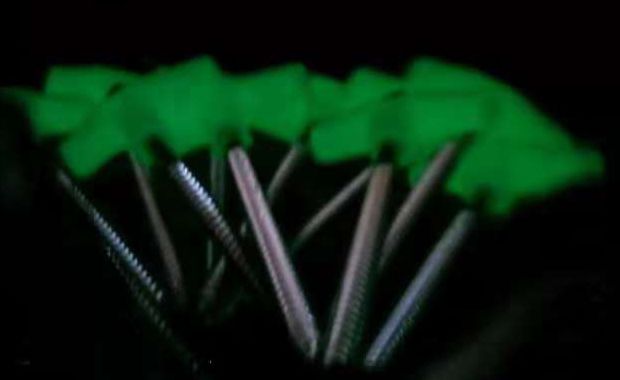 Glow Screw Peg | Good for Hiking, fix awning , tent , ground mats etc.