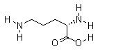 L-Ornithine Hydrochloride