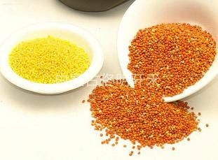  Red millet/yellow millet/green millet