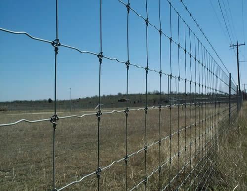 Field fence