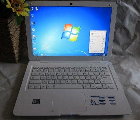 Laptop Win XP Win7 Win8 Memory WIFI Cam