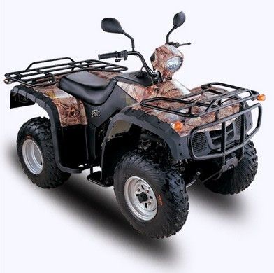 Racing ATV /Quad Bike/Quads (250cc)