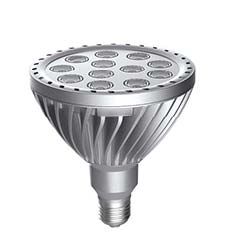 LED PAR38 Lamp