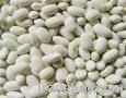 White Kidney Beans