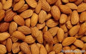 Almond Nuts